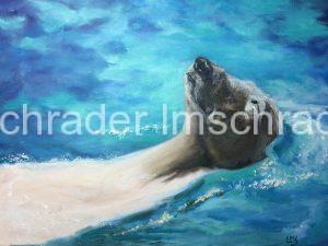 happy polar bear floating in cool water by lynn schrader