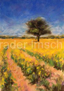 Tree in field