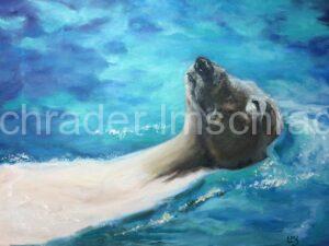 Polar bear enjoying the cool, blue water.