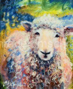 sheep