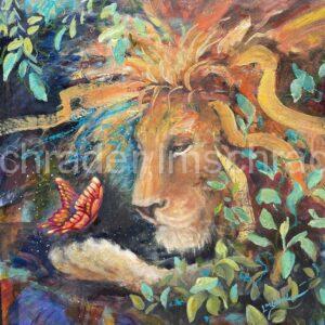 wonder, lion